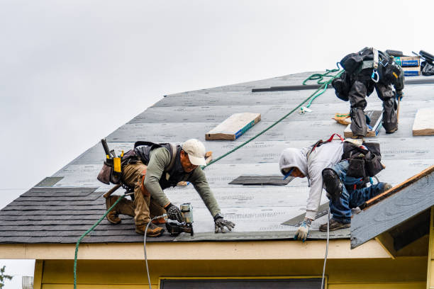 Professional Roof Replacement technician working in Adolphus, KY